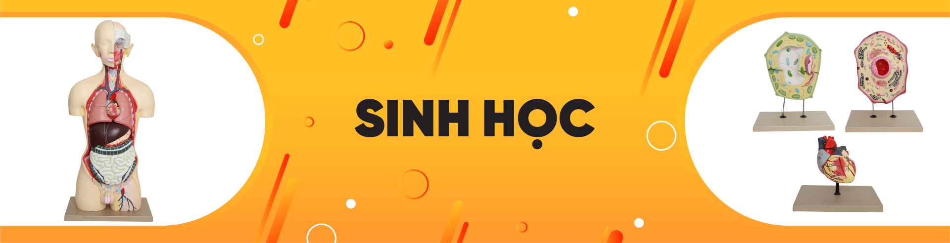 Sinh học